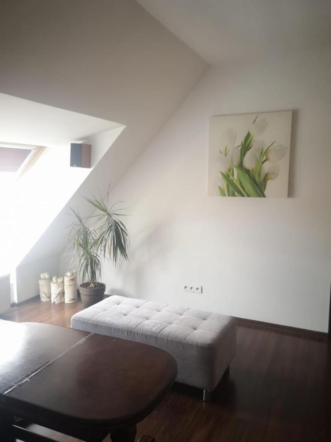 Apartamenty Lena 16 Twoje Poddasze Racibórz Exteriör bild